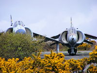  - BAe Harrier's at the Royal Naval School of Fire Fighting, Predannack Airfield, Cornwall - by Chris Hall