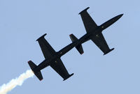  - March Field Airfest 2010 - by Todd Royer