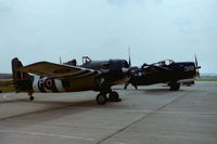  - Classic Grumman naval pair on display at RNAS Yeovilton (HMS Heron) Air Day 2002 - by Roger Winser