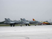  - USN F-18 HORNETS and L-39 FIRECAT - by Doug Robertson