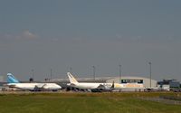  - Big birds and smaller ones in the Cargo corner. - by Holger Zengler