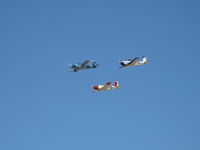  - Three Beech T-34 MENTORS Formation Flight - by Doug Robertson