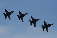  - Blue Angels formation - by Florida Metal