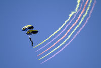  - Leap Frogs at North Island - by Todd Royer