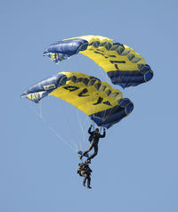  - Leap Frogs at North Island - by Todd Royer