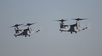 - Marine Osprey - by Todd Royer