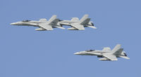  - Marine Hornets - by Todd Royer