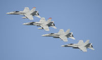  - Marine Hornets - by Todd Royer