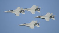  - Navy Super Hornets - by Todd Royer