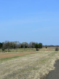  @ Canton-hackney Airport - Canton, TX - by Zane Adams