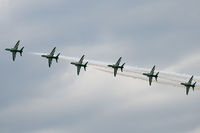  - Saudi Hawks - by Chris Jilli