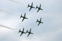  - Saudi Hawks - by Chris Jilli
