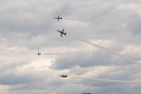  - Saudi Hawks - by Chris Jilli