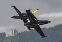  - Blue Angels - by Delta Kilo