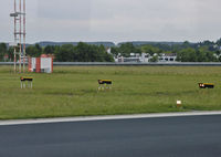  - Three of four lights of the PAPI Visual Approach Light System at Saarbruecken Airport.  - by Wilfried_Broemmelmeyer
