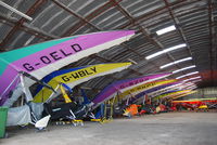  - A flock of micros roosting in the hanger... - by Noel Kearney