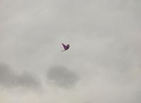  - David's RC drone Ornithopter, the faster the wings flap, the higher the rate of climb - by Doug Robertson