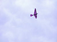  - David's RC drone Ornithopter, the faster the wings flap, the higher the rate of climb - by Doug Robertson