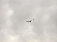  - David's RC drone Ornithopter, the faster the wings flap, the higher the rate of climb - by Doug Robertson