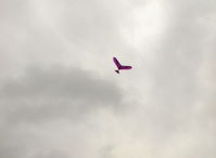  - David's RC drone Ornithopter, the faster the wings flap, the higher the rate of climb - by Doug Robertson