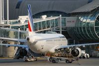  - terminal AF - by Jean Goubet-FRENCHSKY
