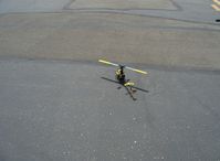  - T-REX radio-controlled  helicopter, building rotor revs for takeoff - by Doug Robertson