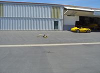  - T-REX radio-controlled helicopter, in flight (chasing the Ferrari?) - by Doug Robertson
