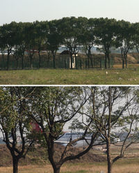  @ Huangyan Luqiao Airport - taizhou luqiao - by Dawei Sun