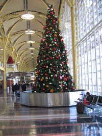  - Christmas tree at National Airport - by Ronald Barker
