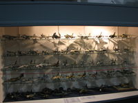  @ ACAM - Atlantic Canada Aviation Museum - by Peter Pasieka