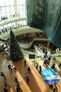  - Pre-Xmas at Haneda - by Micha Lueck