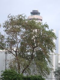  - Miami tower peaking behind trees from 25th St photo holes - by Florida Metal