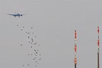  - A lot of inbound traffic for rwy 26L..... - by Holger Zengler