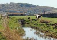  - Out of use barracks on the former RAF Station Pembrey technical site. The stream runs through the former technical site and under Pembrey Airport's runway. - by Roger Winser