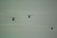  - Three Chinook choppers flew in this Easter Sunday.  Two of them wore the numbers 00124 and 189 respectively.  The lead chopper didn't apperar to have any number.  The photo here shows all three on final approach which I intend to leave at the airport sect - by Daniel Ihde
