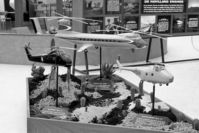  - Westland helicopter models at the 1961 Farnborough Air Show. - by Malcolm Clarke