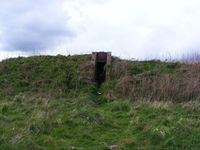X4SR photo, click to enlarge
