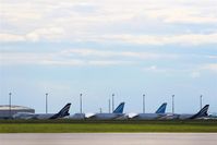  - Big bird area with some new players.... - by Holger Zengler