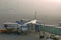 - Munich International Airport gate # 213 in the early morning fog - by Murat Tanyel