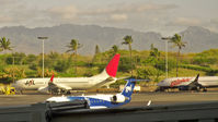  - A JAL Boeing 737 parked at Honolulu International Airport - by Murat Tanyel