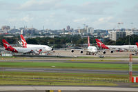  - Lots of heavy Kangaroos... - by Micha Lueck
