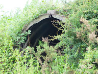X5KB photo, click to enlarge