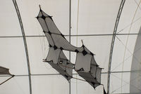  - Modern replica of a Cody Kite built in 1998 - by Chris Hall