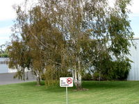  - Posted: No Dogs Allowed on Grass - by Doug Robertson