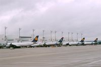  - From gate 210 downwards some big birds...... - by Holger Zengler