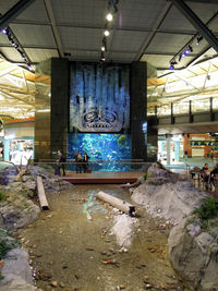 Vancouver International Airport photo, click to enlarge