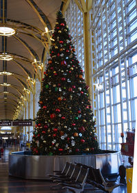  - Christmas tree DCA - by Ronald Barker