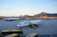  - Two Tranaero widebodies!!! - by AustrianA330