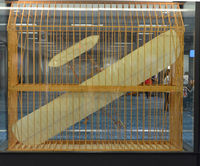  - Glider Atlanta - by Ronald Barker