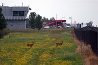  - Rendezvous at fire training area north of runway 08L/26R.... - by Holger Zengler